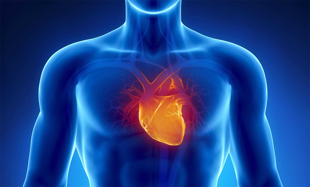 Hospitales con servicio de electrocardiograma de 12 derivaciones